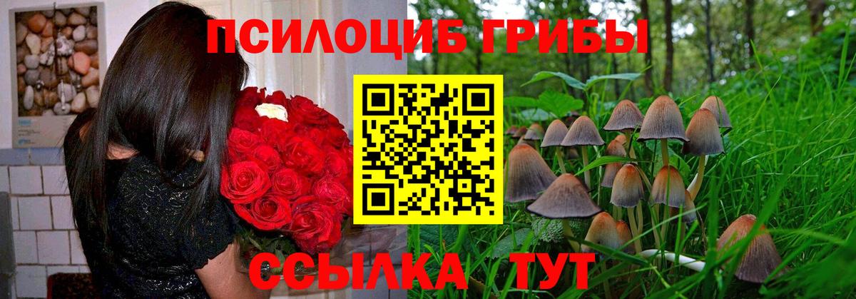 Псилоцибиновые грибы Psilocybine cubensis  Галлюциногенные грибы мицелий  Лениногорск  Вход с VPN 